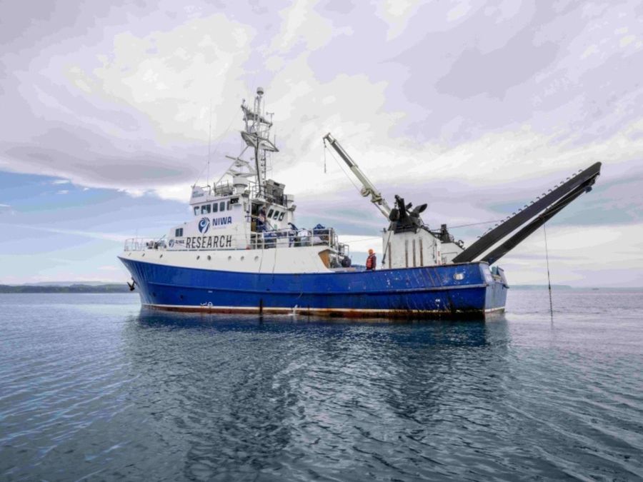 Photo-credit-RV-Kaharoa-in-Napier-undertaking-survey-work-in-the-harbour.-NIWA.jpg