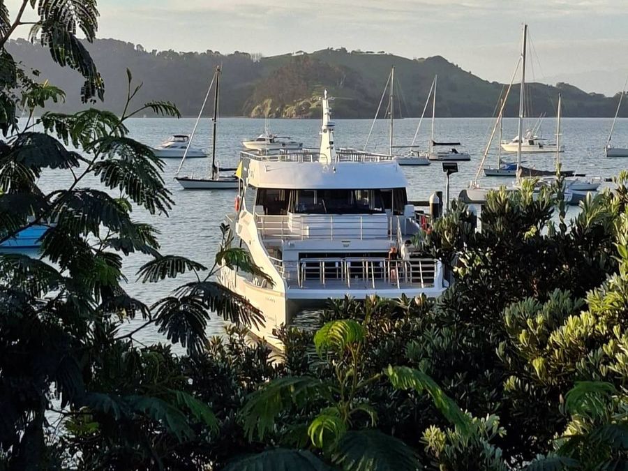 Photo-credit-Thames-Coromandel-District-Council.jpg