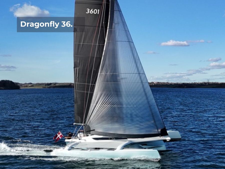 Photo-credit-The-Dragonfly-36.-Dragonfly.jpg