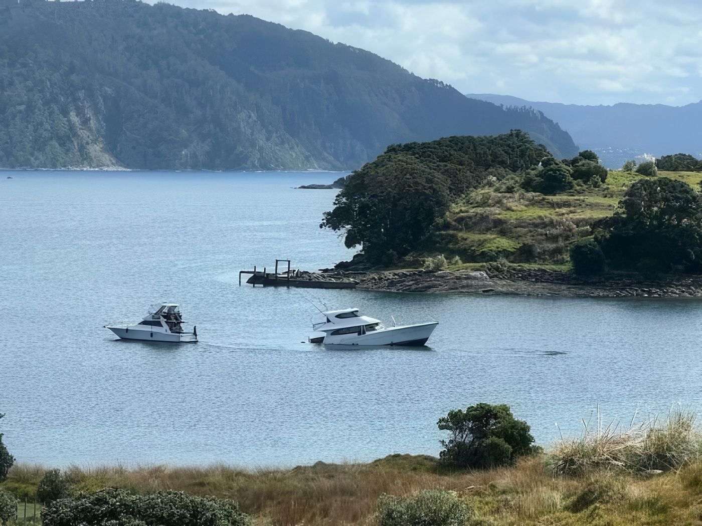 Photo-credit-Waikato-Regional-Harbourmaster-Facebook.jpg