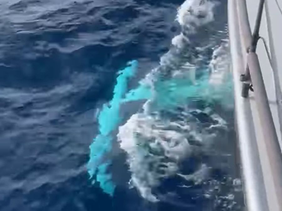 Photo-credit_-Alive-Alive-Yachting-also-has-a-canting-keel.-Alive-Yachting-_-Facebook.jpg