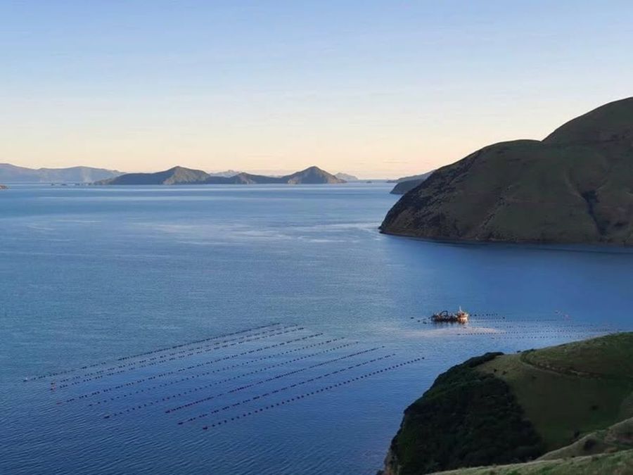 Guards Bay