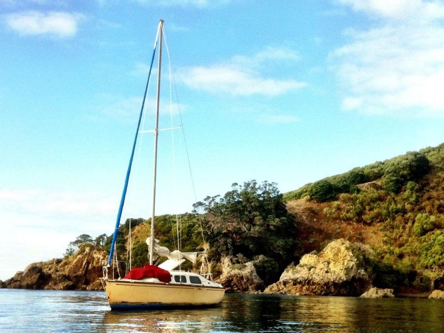 Photographed-off-Tiritiri-Matangi-Island-__-Photo-credit_-Atthebonfire.jpg