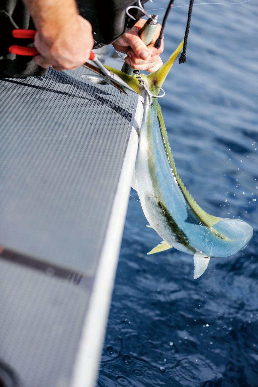 Dragging a slider-type lure armed with a squid tendril in murky tidal water can provide youngsters with non-stop snapper action.