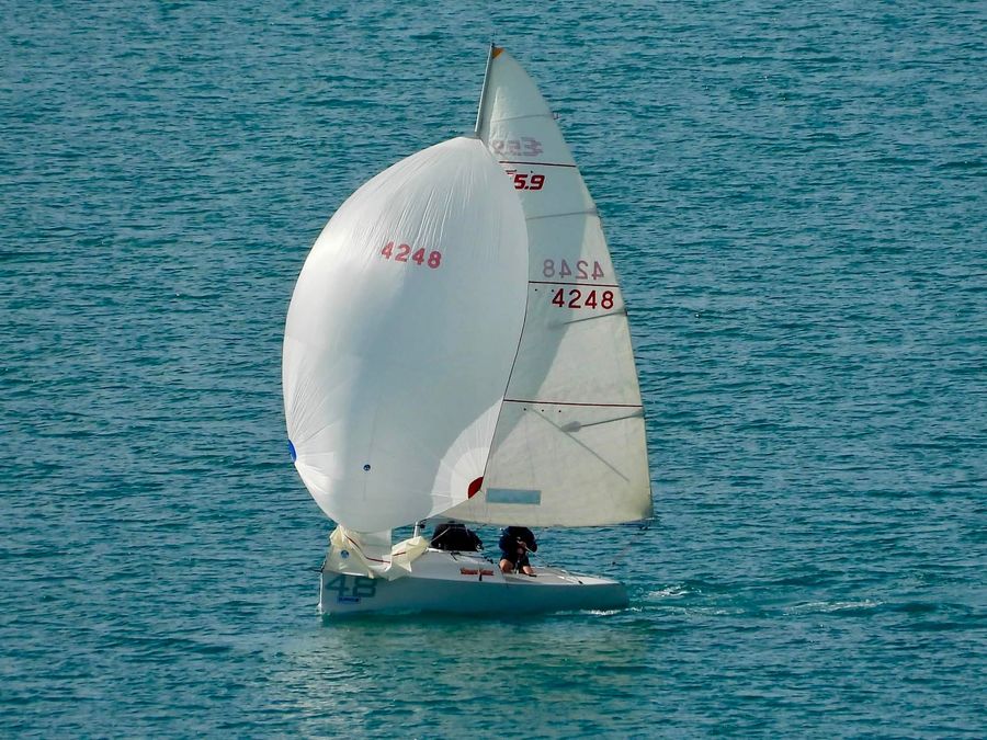 Reggae Shark ahead at the end of the 2026 Elliott 5.9 Traveller Series Whitianga weekend