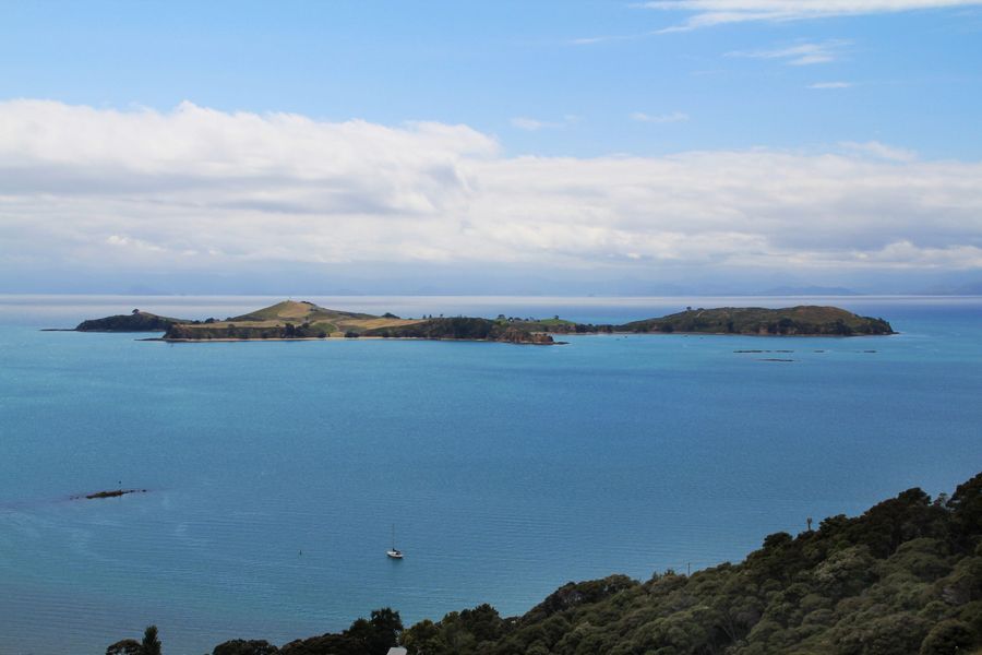 Rotoroa-Island_Credit-Auckland-Council.jpg