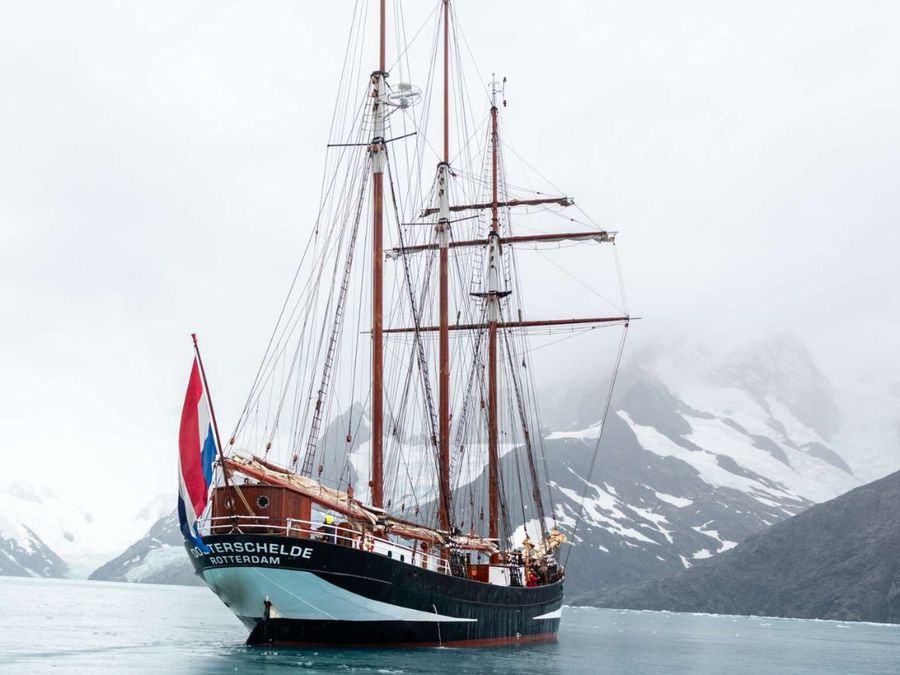 Sailing-to-Cape-Town-via-Falkland-Islands-and-South-Georgia-__-Photo-credit_-Darwin200.jpg