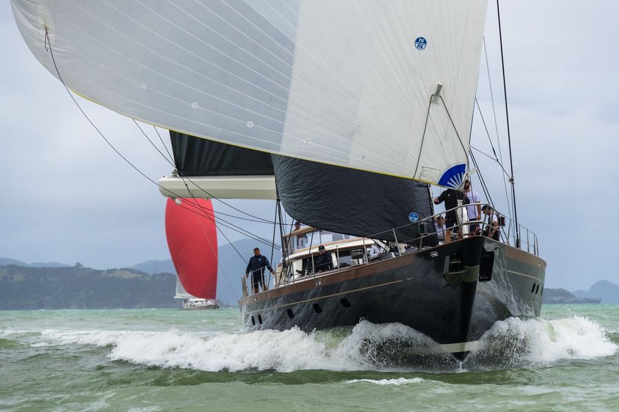 Sassafras, Millennium Cup 2021 / Jeff Brown. Breed Media (New Zealand Millennium Cup, Facebook)