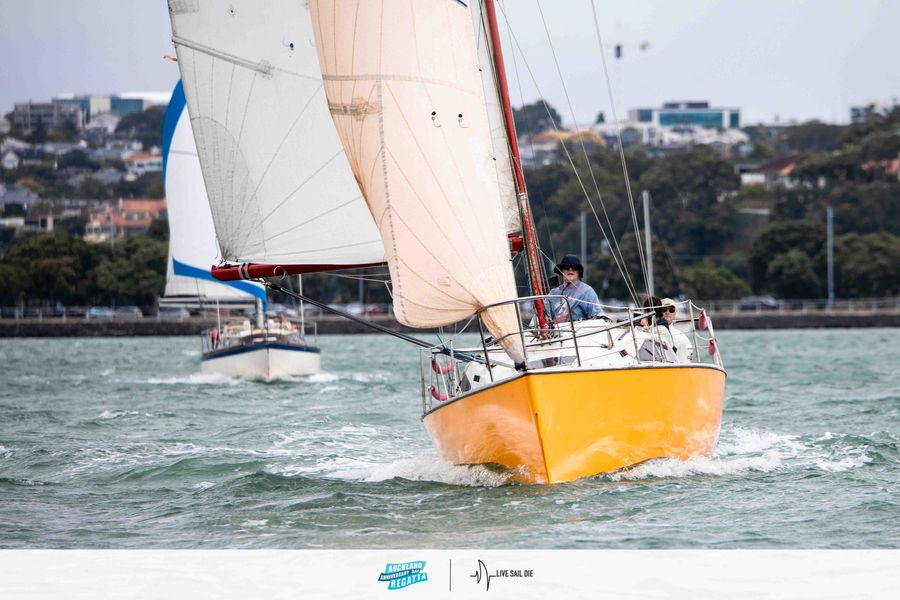 Scarlett-Fever-2026-Auckland-Anniversary-Day-Regatta.jpg