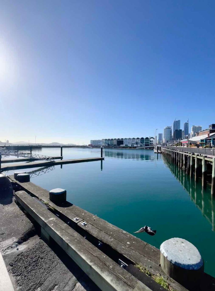 Looking across an empty Jellicoe Harbour soon to be filled with some of the most amazing boating offerings in New Zealand. Can't wait! / Boating New Zealand