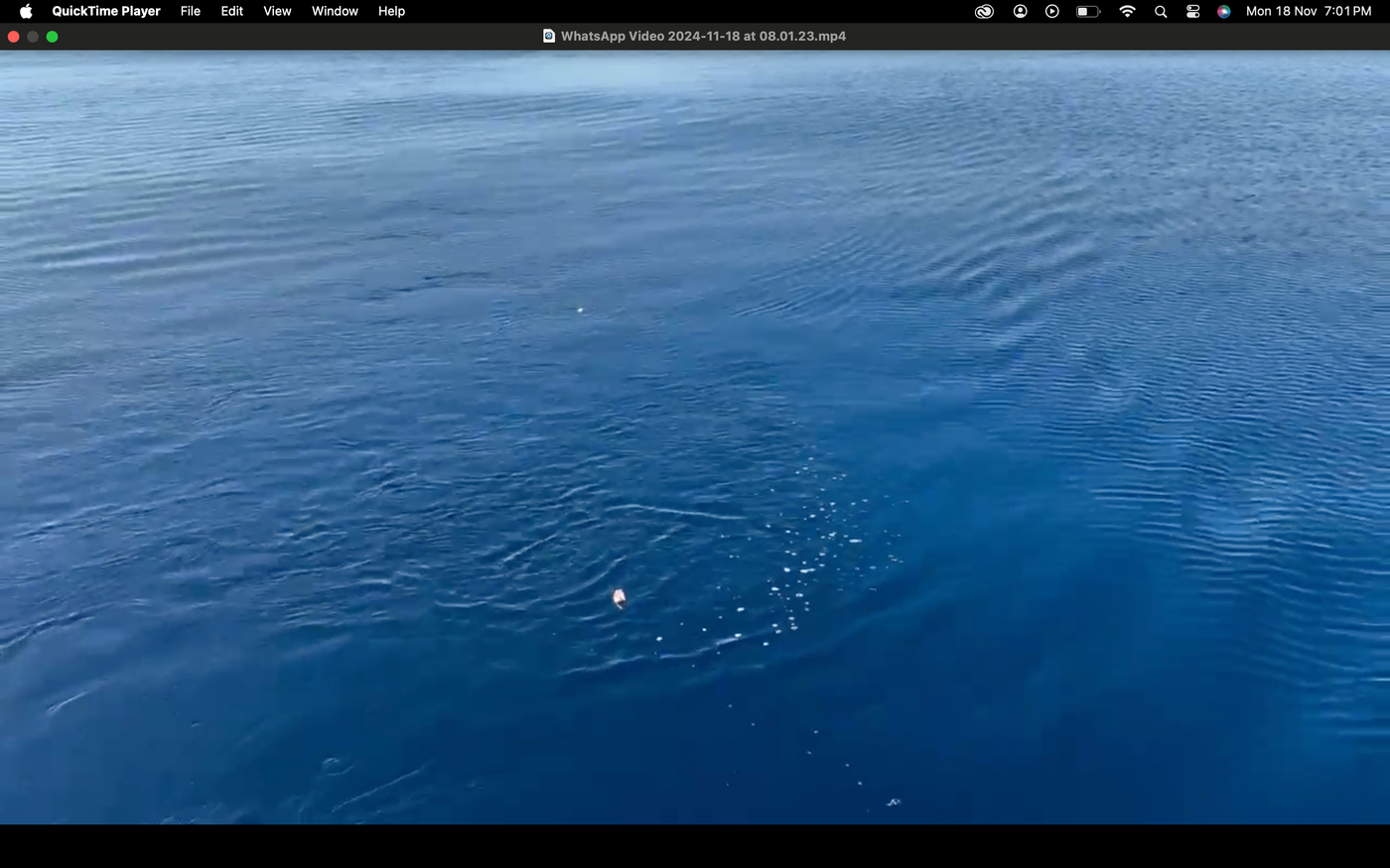 Screenshot 2024-11-18 at 7.01.42 PM