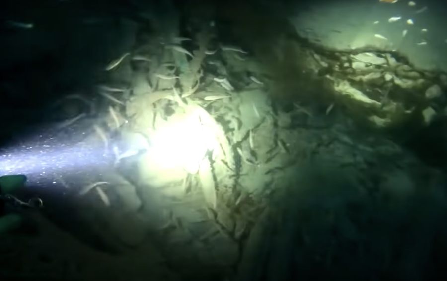 The deck has decomposed allowing direct sight into the hull of the boat - showing us her load of coal. Photo credit: YouTube/Dom Robinson