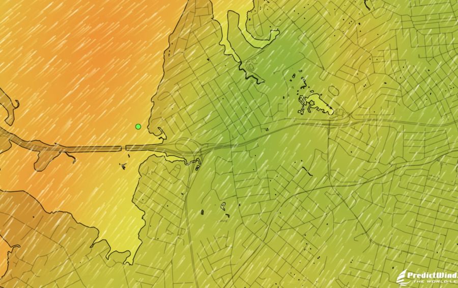 Screenshot-2026-02-15-at-9.03.11-am.jpg