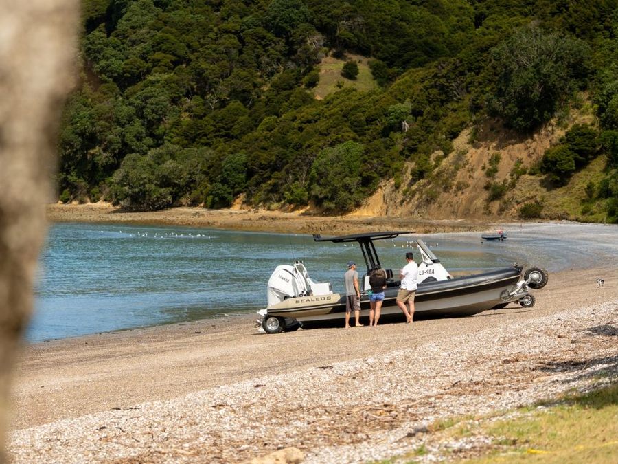 Sealegs appoints four new dealers across US and Australia