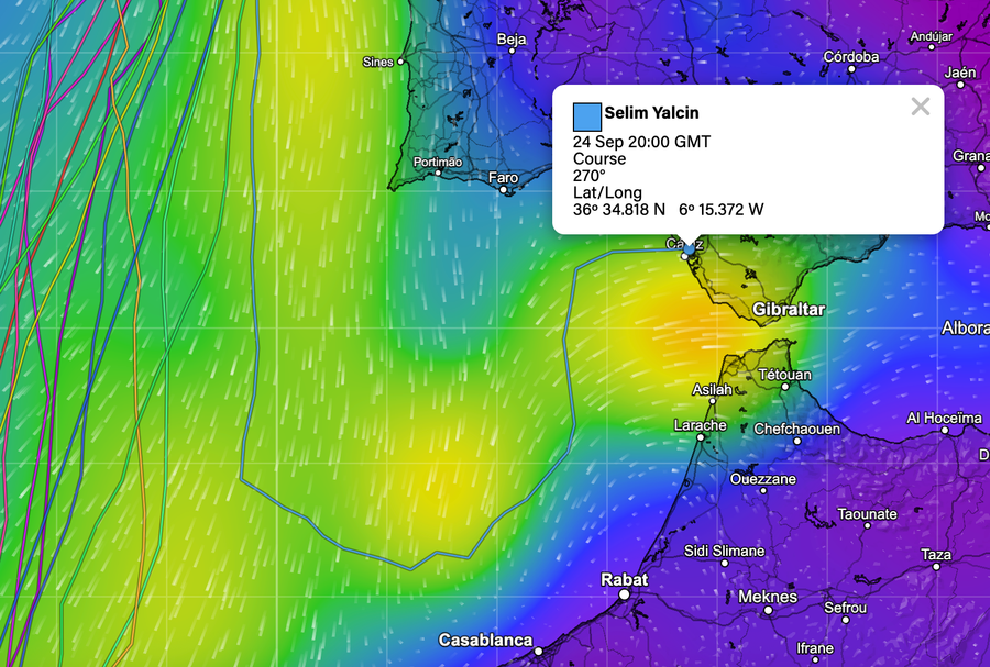 Selim Yalçin has changed course to dock in Cadiz