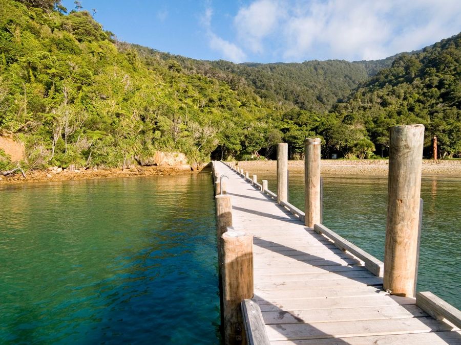 Ship-Cove-at-the-beginning-of-Charlotte-Sound.jpg