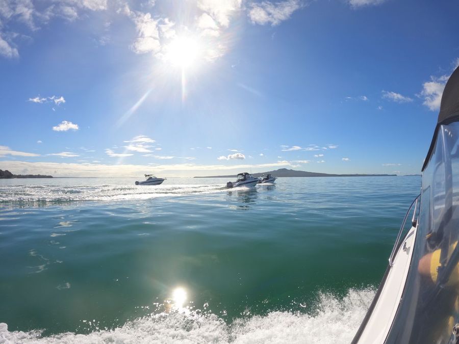 Skipperi boats on the Waitemata