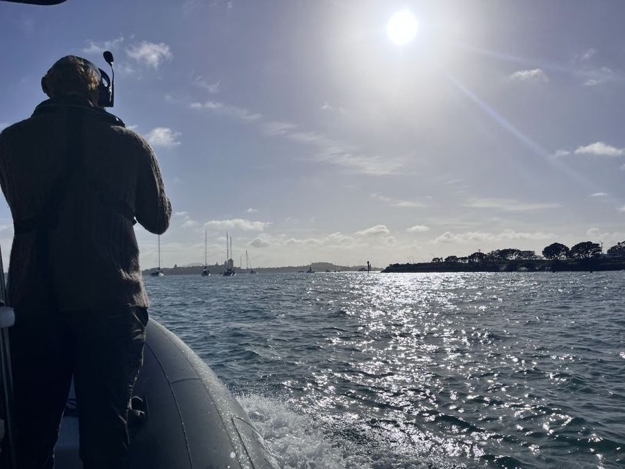 Solo-Trand-Tasman.jpg