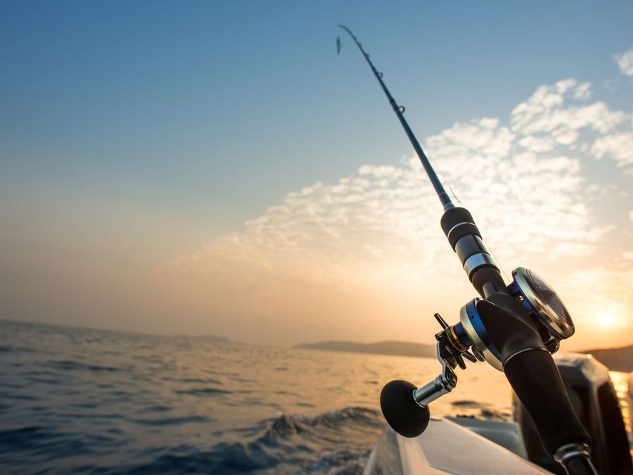 Sport fishers push back against controversial fisheries reforms