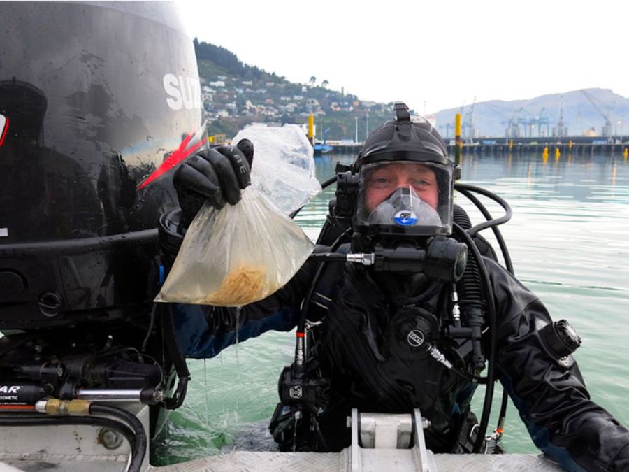 Synergy-protects-our-seas.jpg