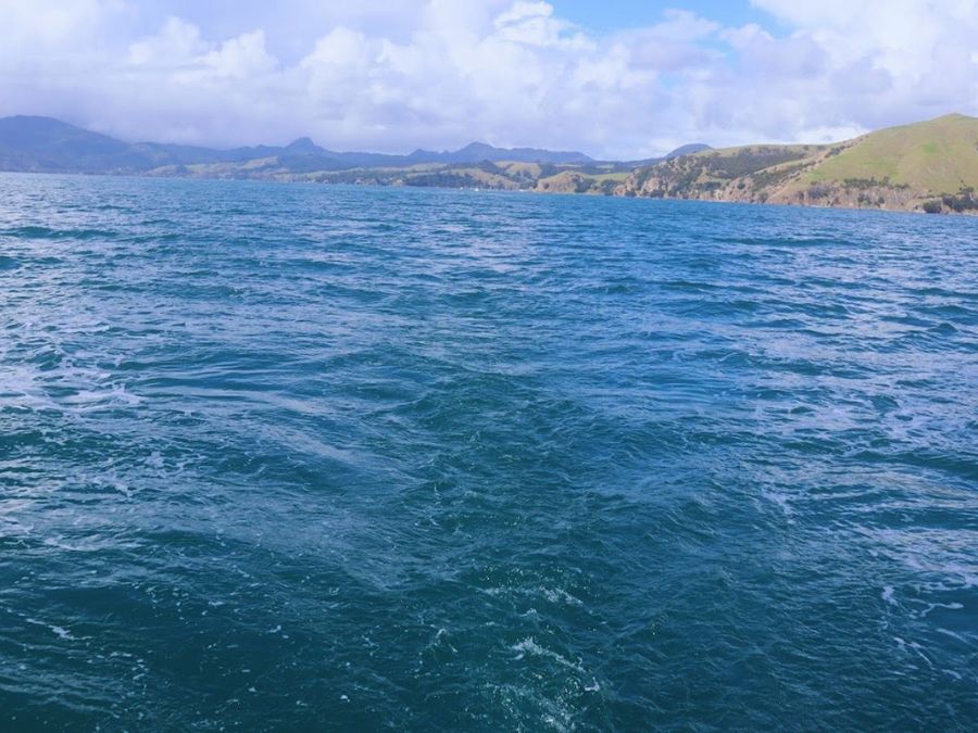 Te Kouma from afar. Photo credit: Kirsten Woodhams