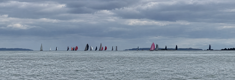The fleet fan out soon after the start of the 2026 Roy McDell Memorial Race.