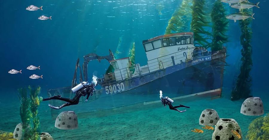 The-Twofold-Bay-Charitable-Trust-future-image-of-Twofold-Bay-submerged-off-Pania-Reef.-Photo-credit-The-Twofold-Bay-Charitable-Trust.jpeg