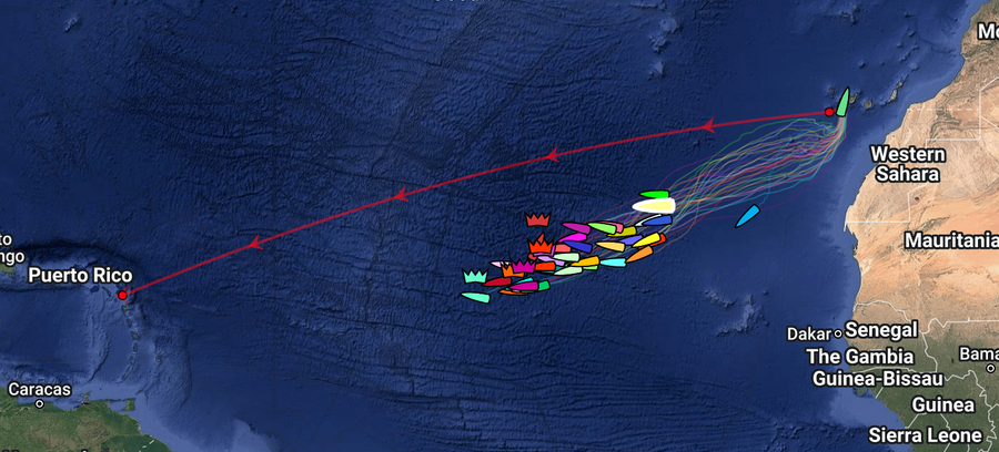 The World's Toughest Row 8am NZT 31 Dec 2024. New Zealand pair Glimmering Seas are highlighted in yellow.
