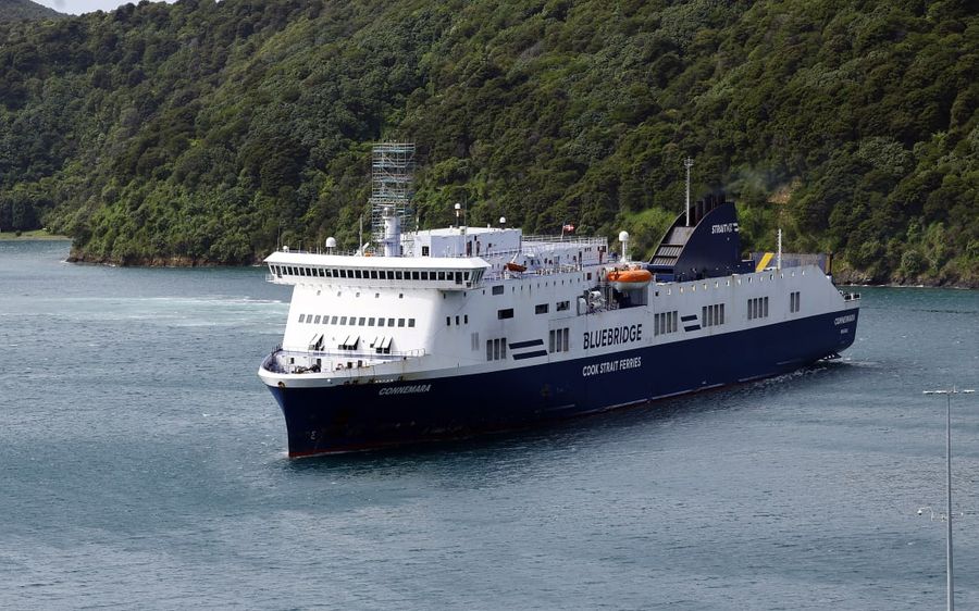 The-cancellations-were-due-to-a-technical-fault-found-on-Saturday-morning.-Photo-RNZAnthony-Phelps-.jpeg