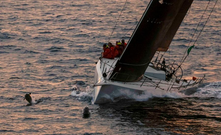 The-crew-of-Black-Pearl-with-dolphins-at-the-Fastnet-Rock-©-ROLEX-Carlo-Borlenghi.jpg