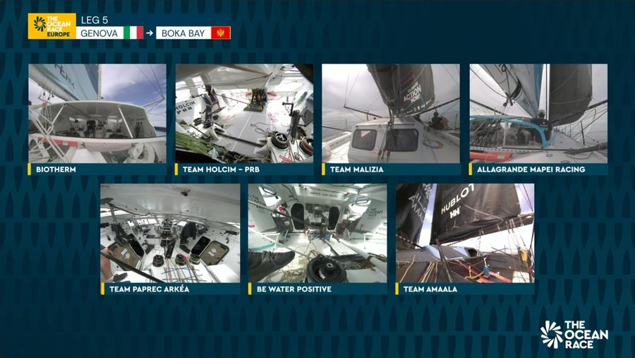 TheOceanRace.jpeg