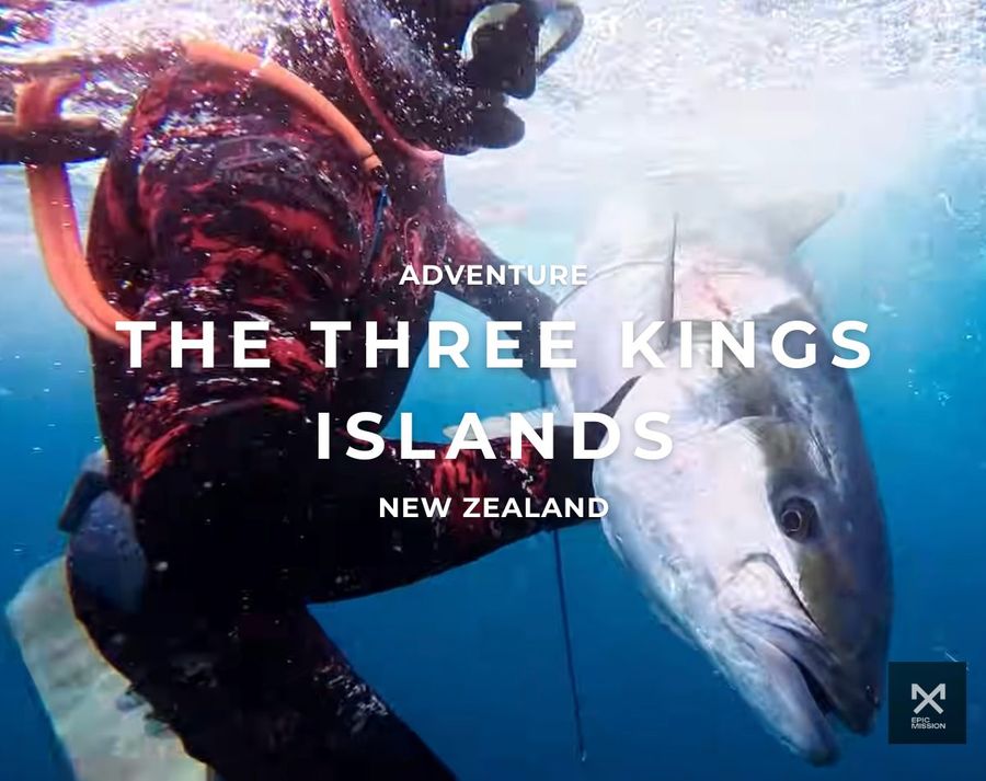 Three-Kings-spearfishing-trip_-chasing-kingfish-at-New-Zealands-edge-1.jpg