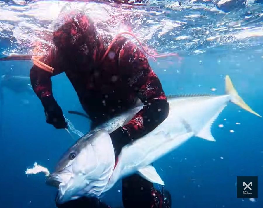Three-Kings-spearfishing-trip_-chasing-kingfish-at-New-Zealands-edge-6.jpg