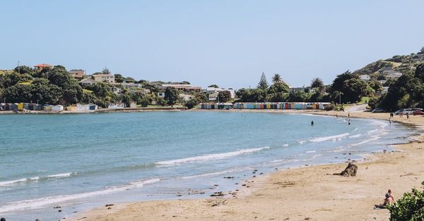 Titahi-Bay-TCP-_8.a265e845.fill-768x402-1.jpg