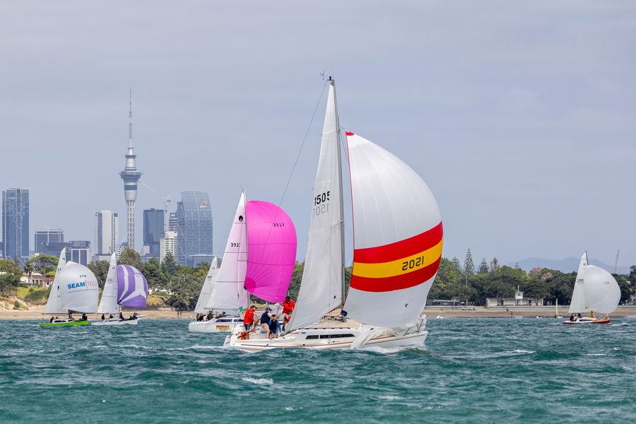 Titus in the 2024 PIC Harbour Classic / Suellen Hurling - Live Sail Die (PIC Harbour Classic - Facebook)