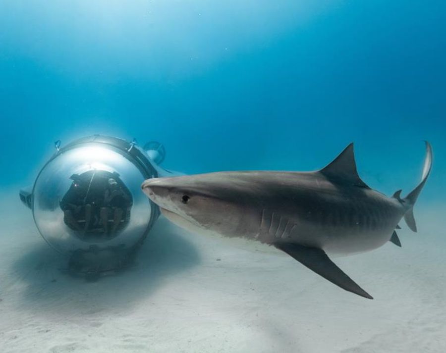 U-Boat-Worx-unveils-super-sub-during-exclusive-24-hour-exploration-experience-3.jpg