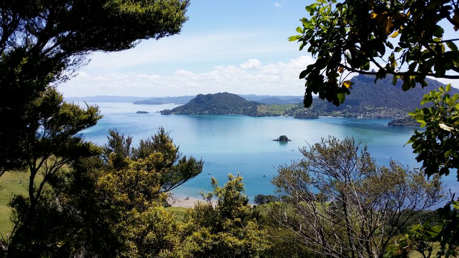 View from Te Whara Track towards Mt  Manaia