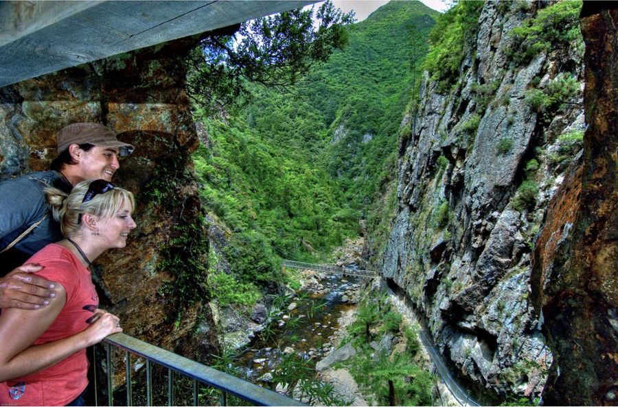 View-of-the-Karangahake-Gorge-from-the-Windows-walkway.-Photo-credit-Hauraki-Coromandel-thecoromandel.nz_.jpg