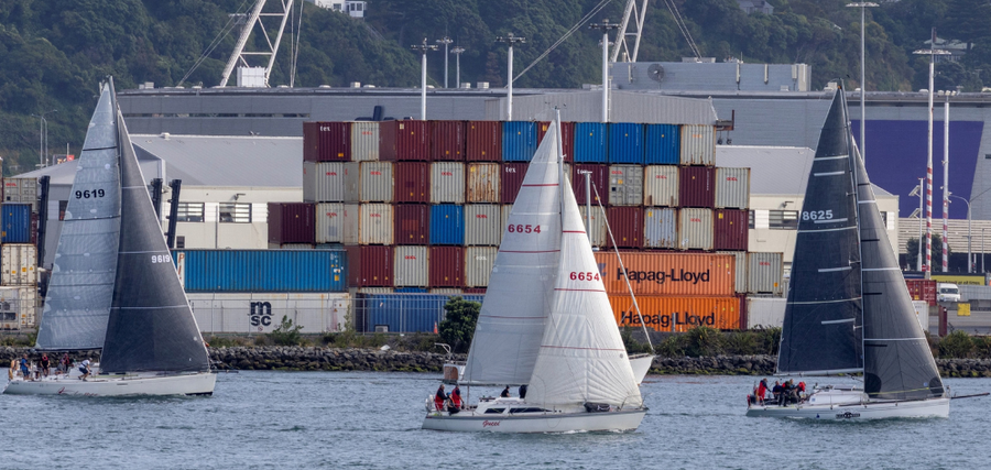 Some of the fleet at the start of the 2025 Wellington to Akaroa Yacht Race edition