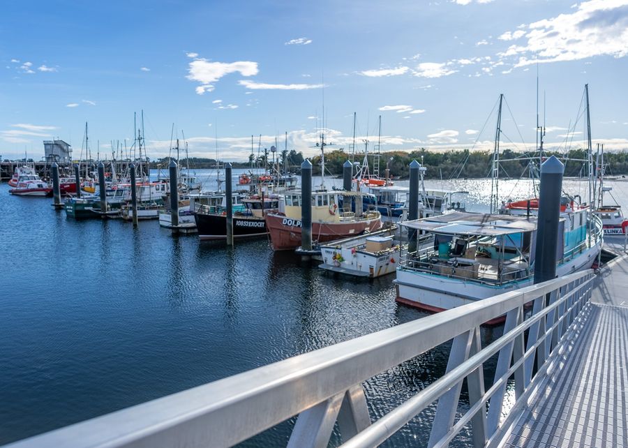 Westport-Harbour_Floating-pontoon-marina-berths.jpg