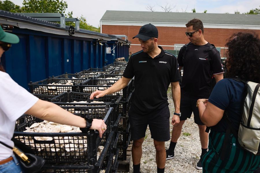 Blair Tuke looking at the oyster shells saved by the project as the base of the reef. Photo credit: SailGP Media