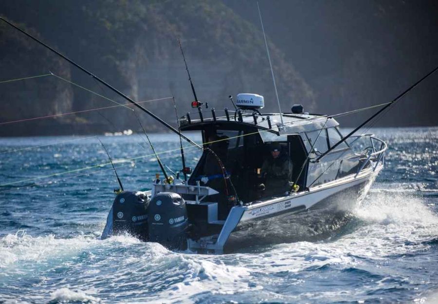 White Pointer Boats