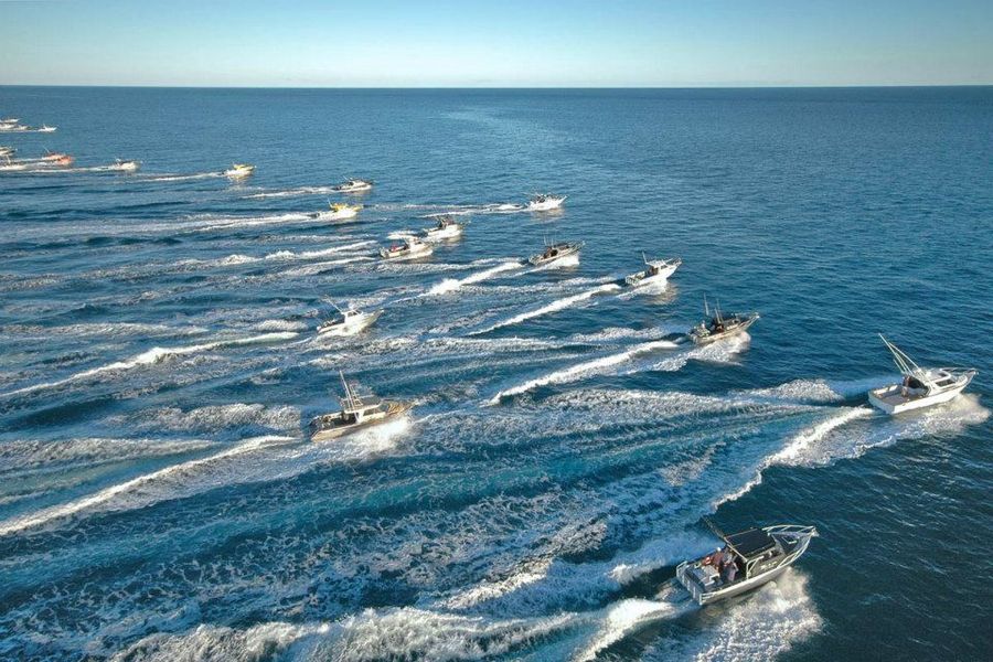 White Pointer boats fishing competition