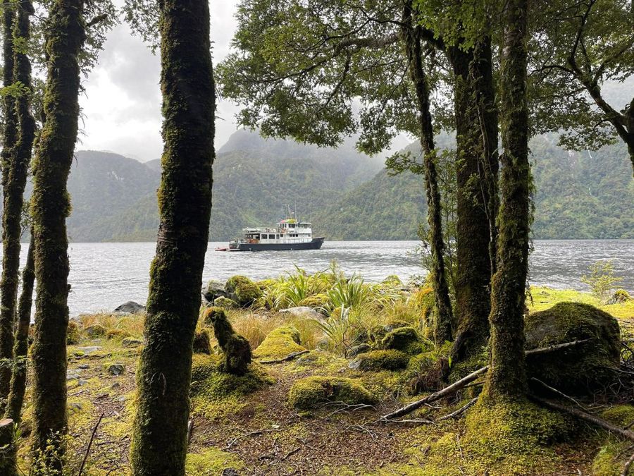 Wild-Chix-Fiordland-and-a-floating-base-called-Flightless-__-Photo-credit_-Wild-Chix-2.jpg