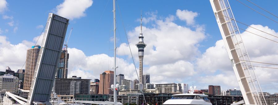 Wynyard Crossing Bridge Up