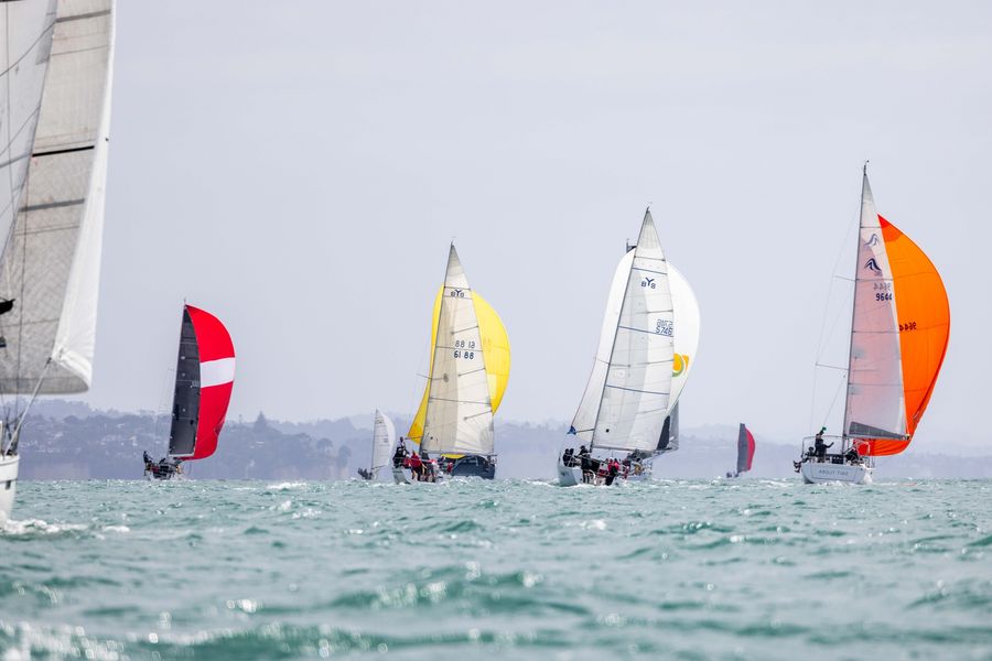 Young 88s in the 2024 PIC Harbour Classic / Suellen Hurling - Live Sail Die (PIC Harbour Classic - Facebook)