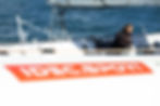 Alexia Barrier aboard IDEC SPORT-CIC.