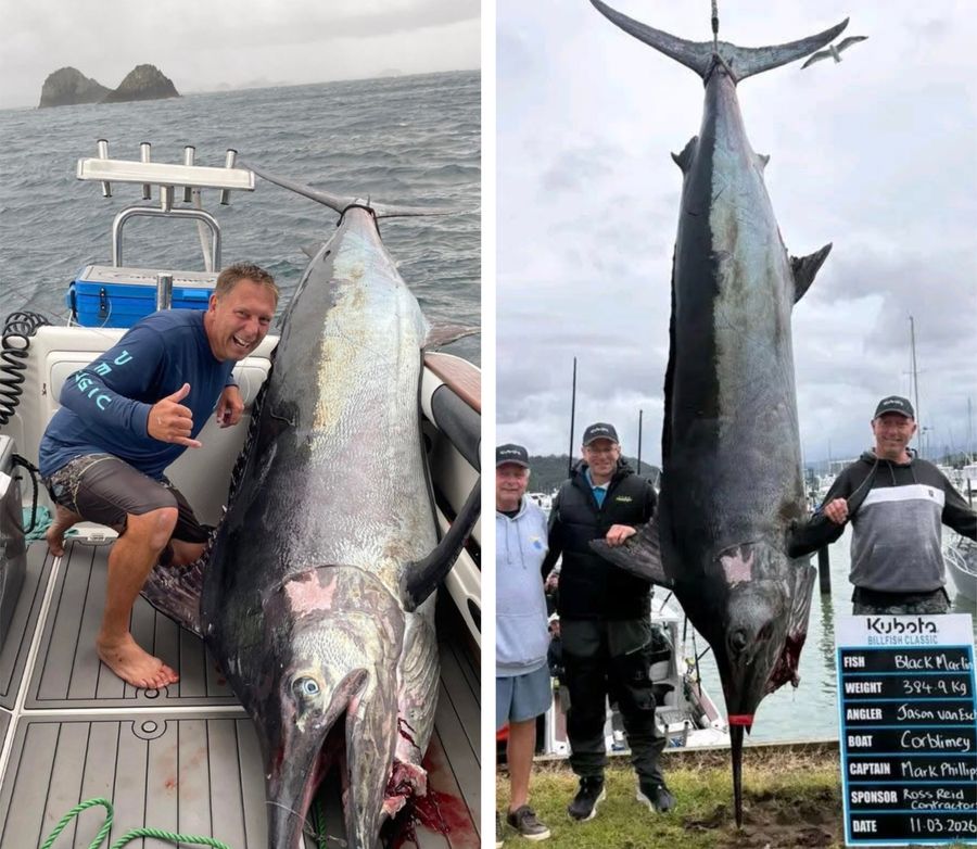 Family's 8m boat beats 400 vessels to land world's biggest fishing prize, 10 June 2026