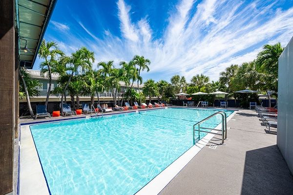 Palm trees line the heated pool at Blue Marlin Motel Key West