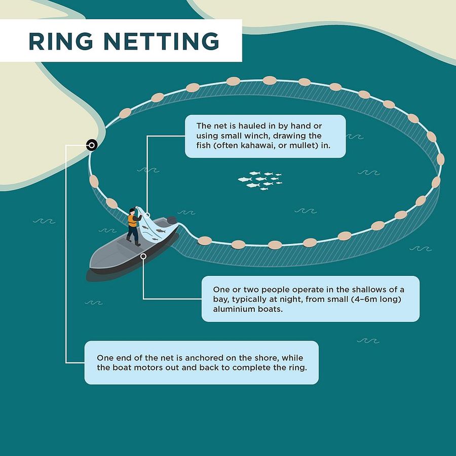 csm_SNZ_Ring-Net-Fishing-Graphic-Diagram_FINAL_87561f13ee.jpg
